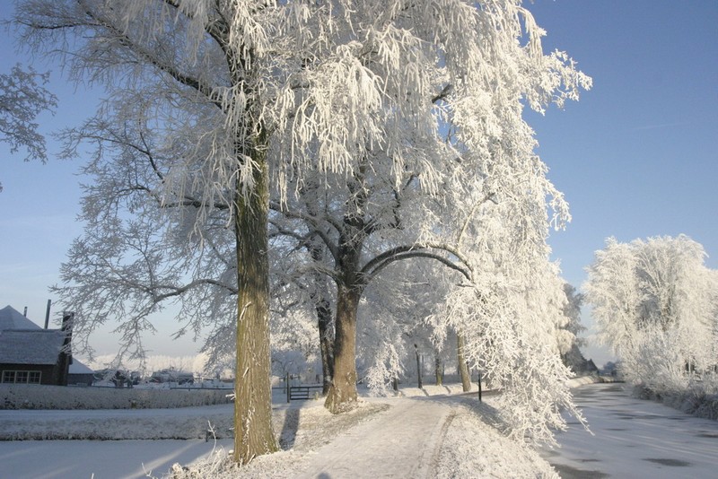 n_Linschoten. 21.jpg